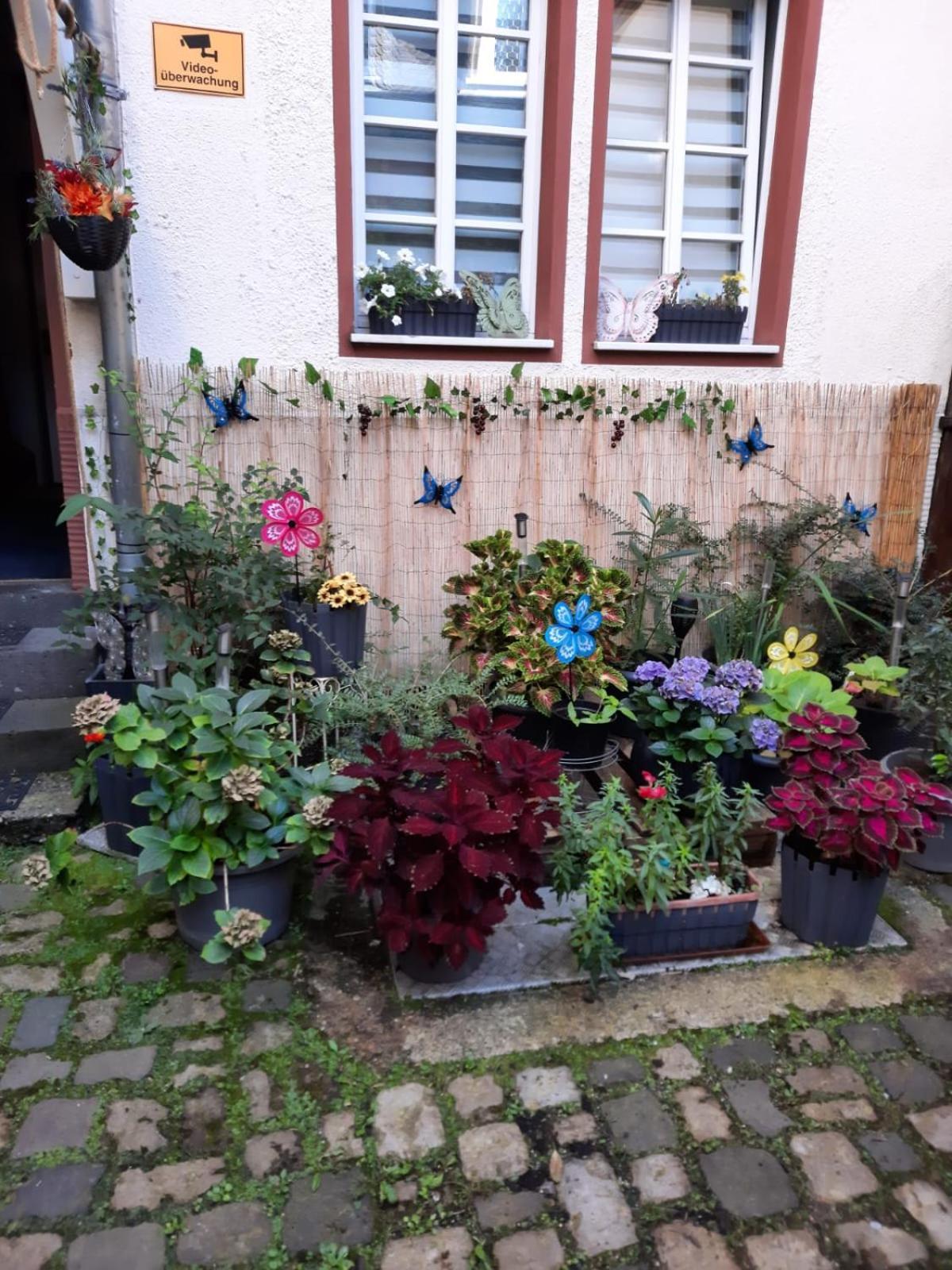 Kleine Altstadt Oase Apartamento Bernkastel-Kues Exterior foto
